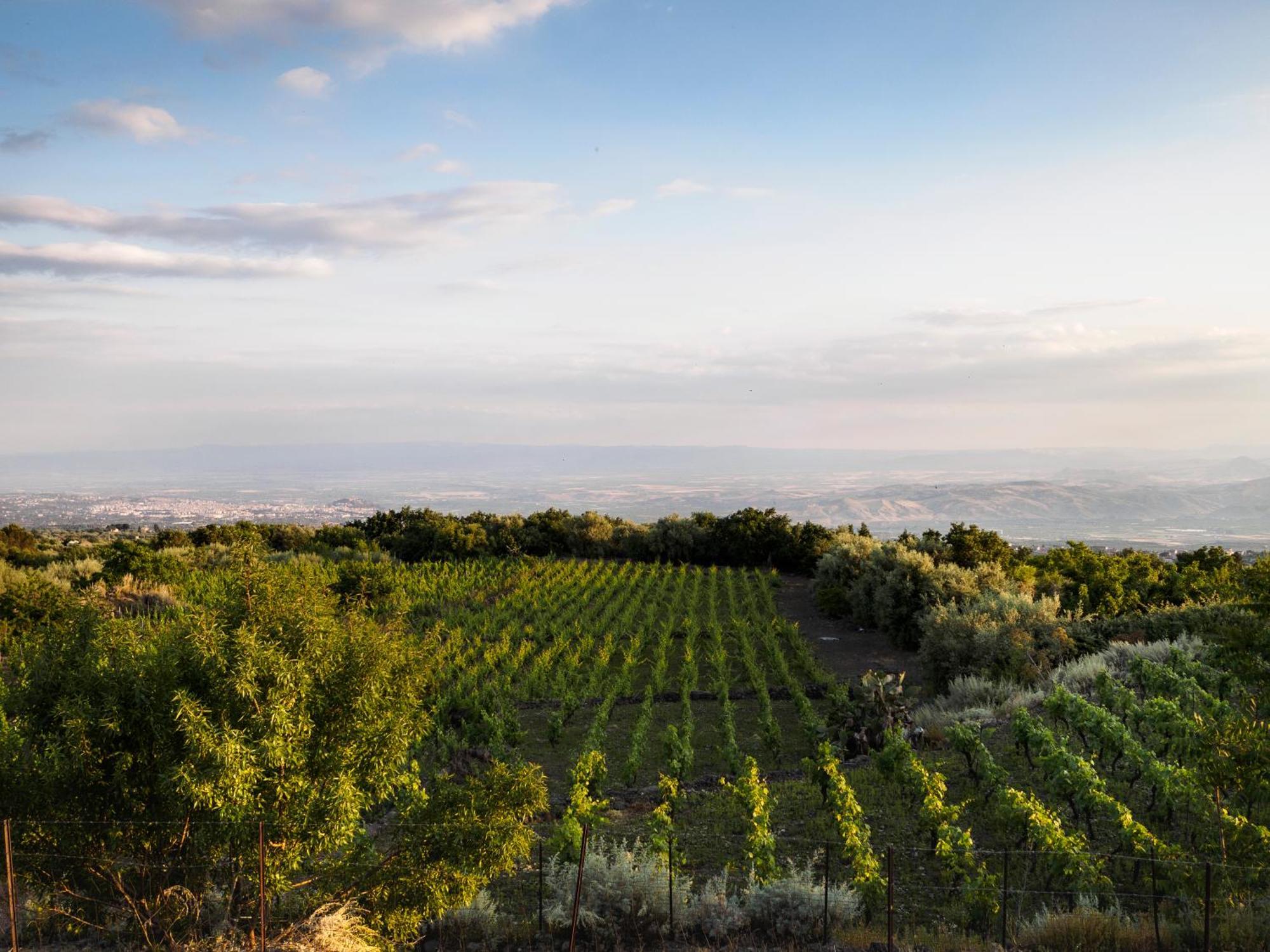 Podere Dell'Etna Segreta - Essential Nature Hotel & Glamping Biancavilla Dış mekan fotoğraf