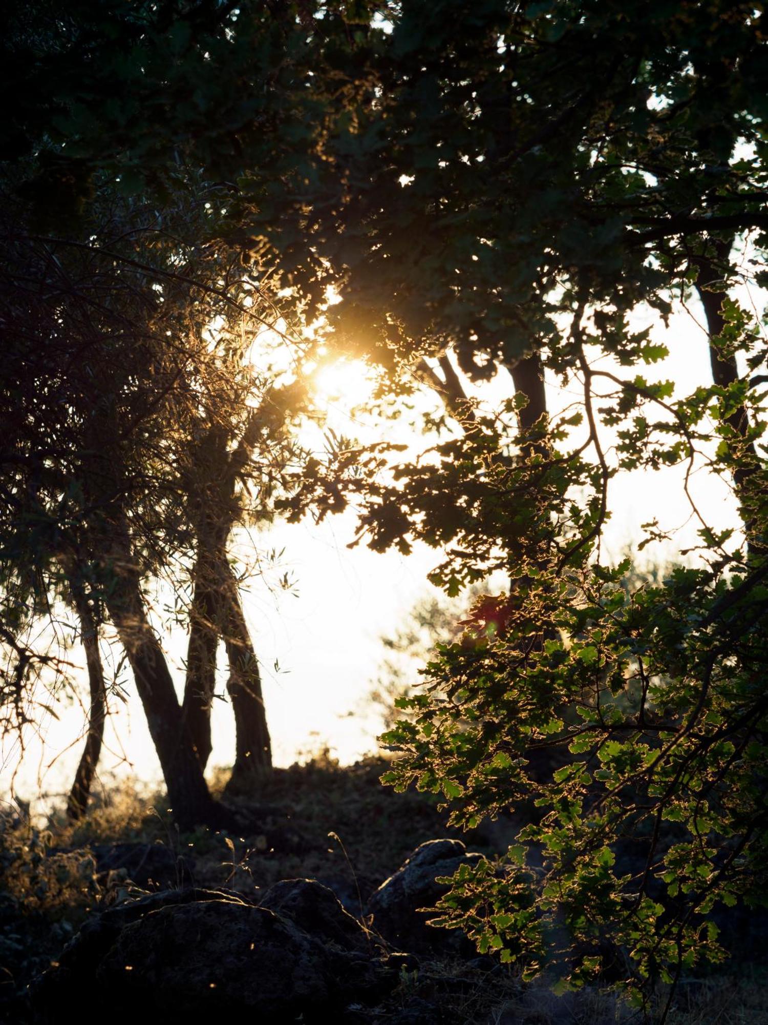 Podere Dell'Etna Segreta - Essential Nature Hotel & Glamping Biancavilla Dış mekan fotoğraf