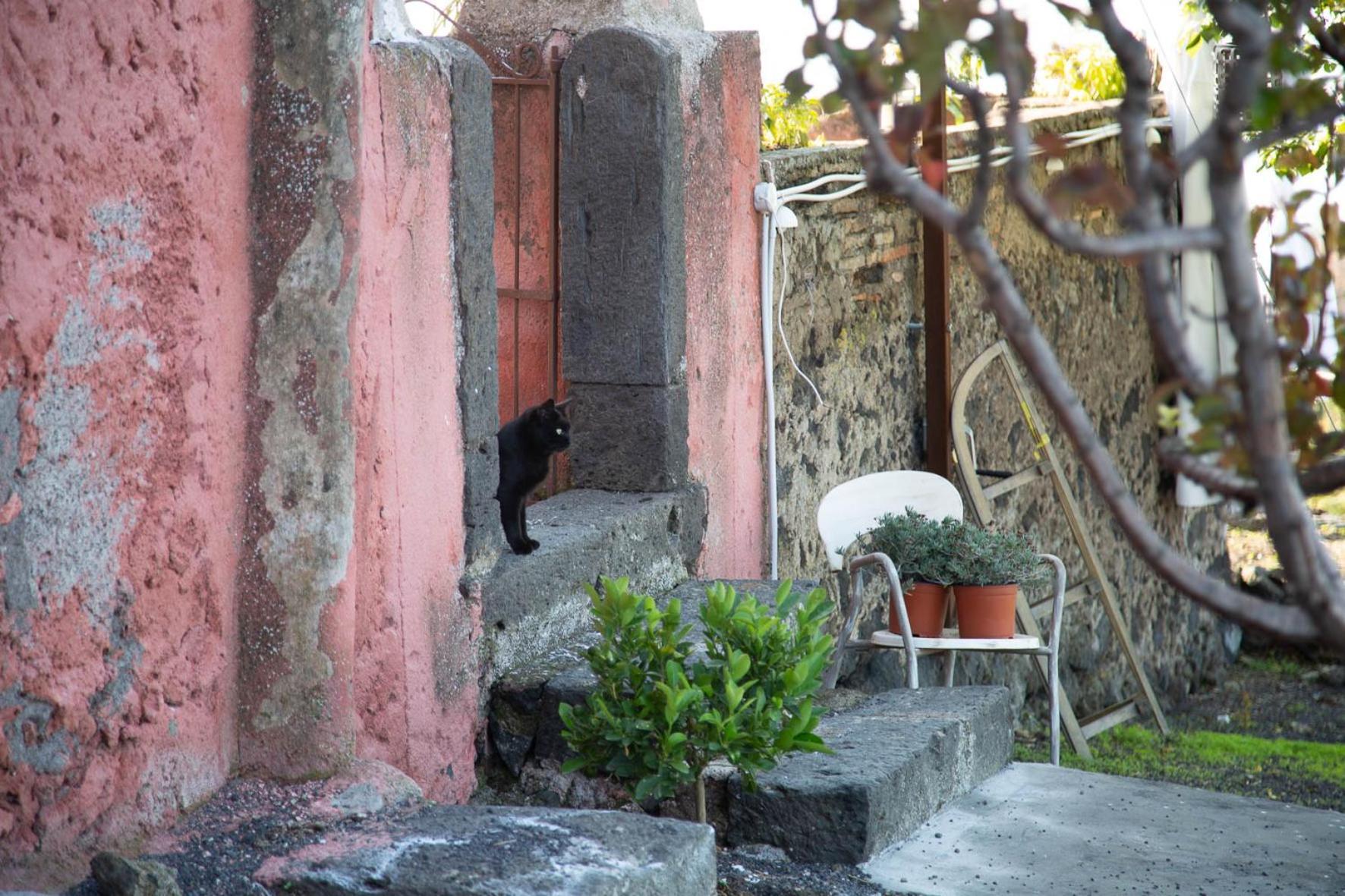 Podere Dell'Etna Segreta - Essential Nature Hotel & Glamping Biancavilla Dış mekan fotoğraf